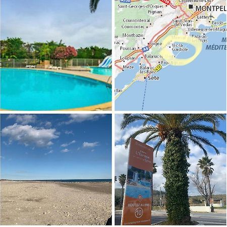 Hotel Camping L'Europe Vic-la-Gardiole Exterior foto